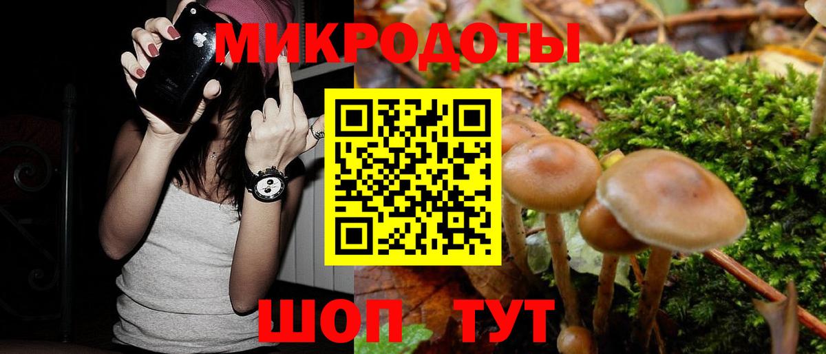 Галлюциногенные грибы GOLDEN TEACHER Котовск