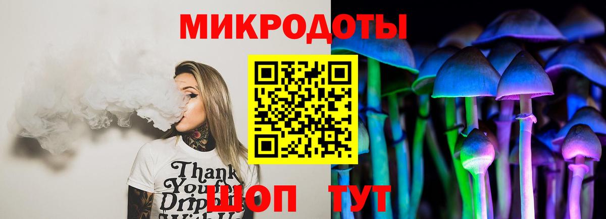Псилоцибиновые грибы Cubensis  Вход с VPN  Котовск 